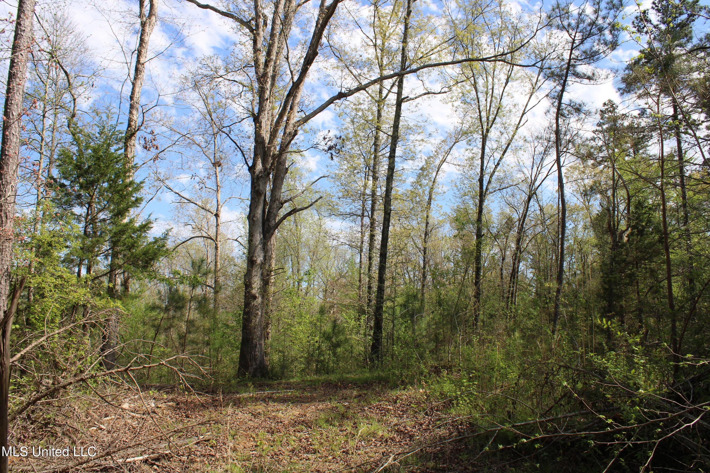 2300 Hamilton Road Falkner, MS 38629 - Photo 25 of 29 IMG_3722