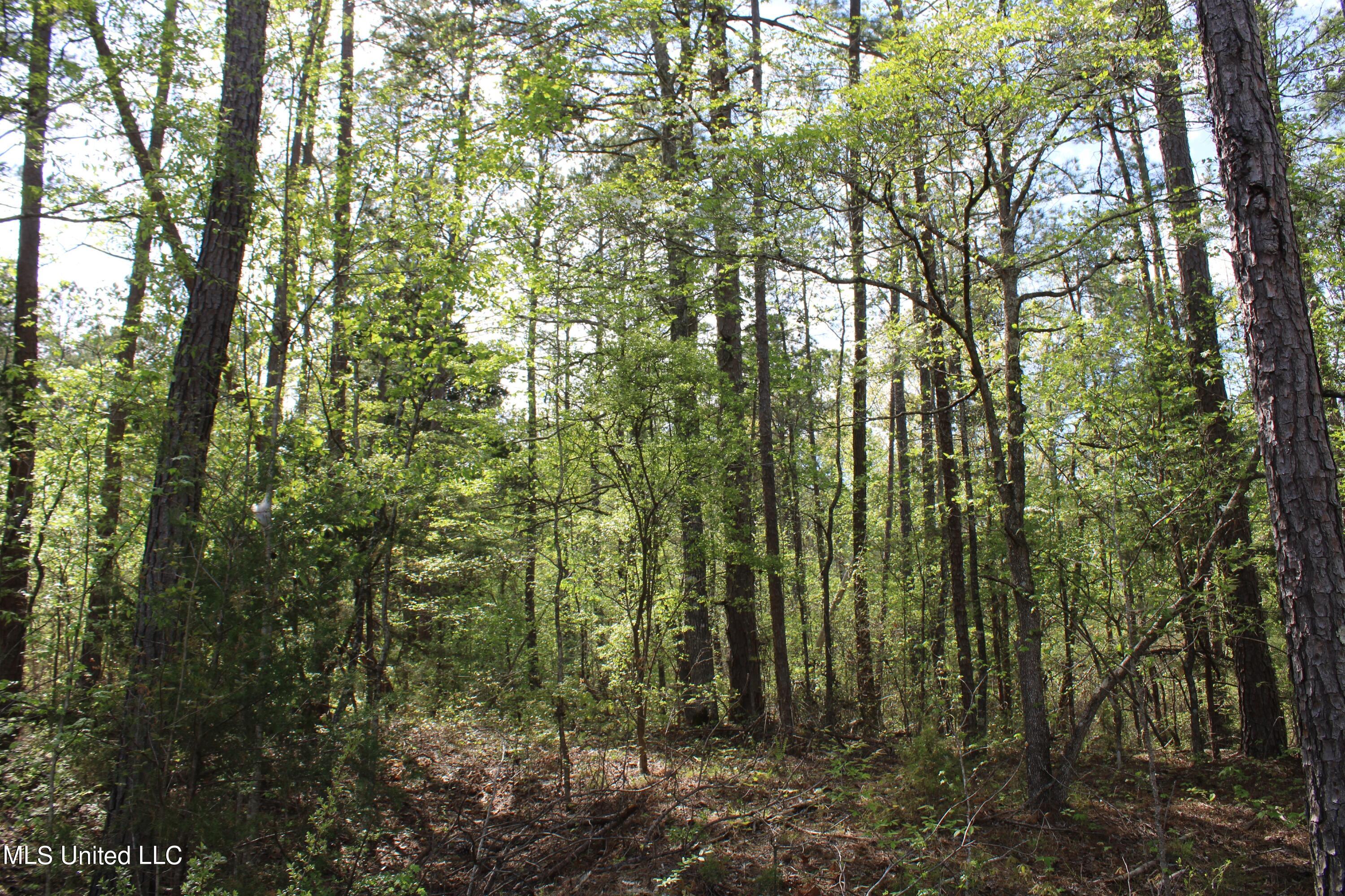 2300 Hamilton Road Falkner, MS 38629 - Photo 26 of 29 IMG_3723