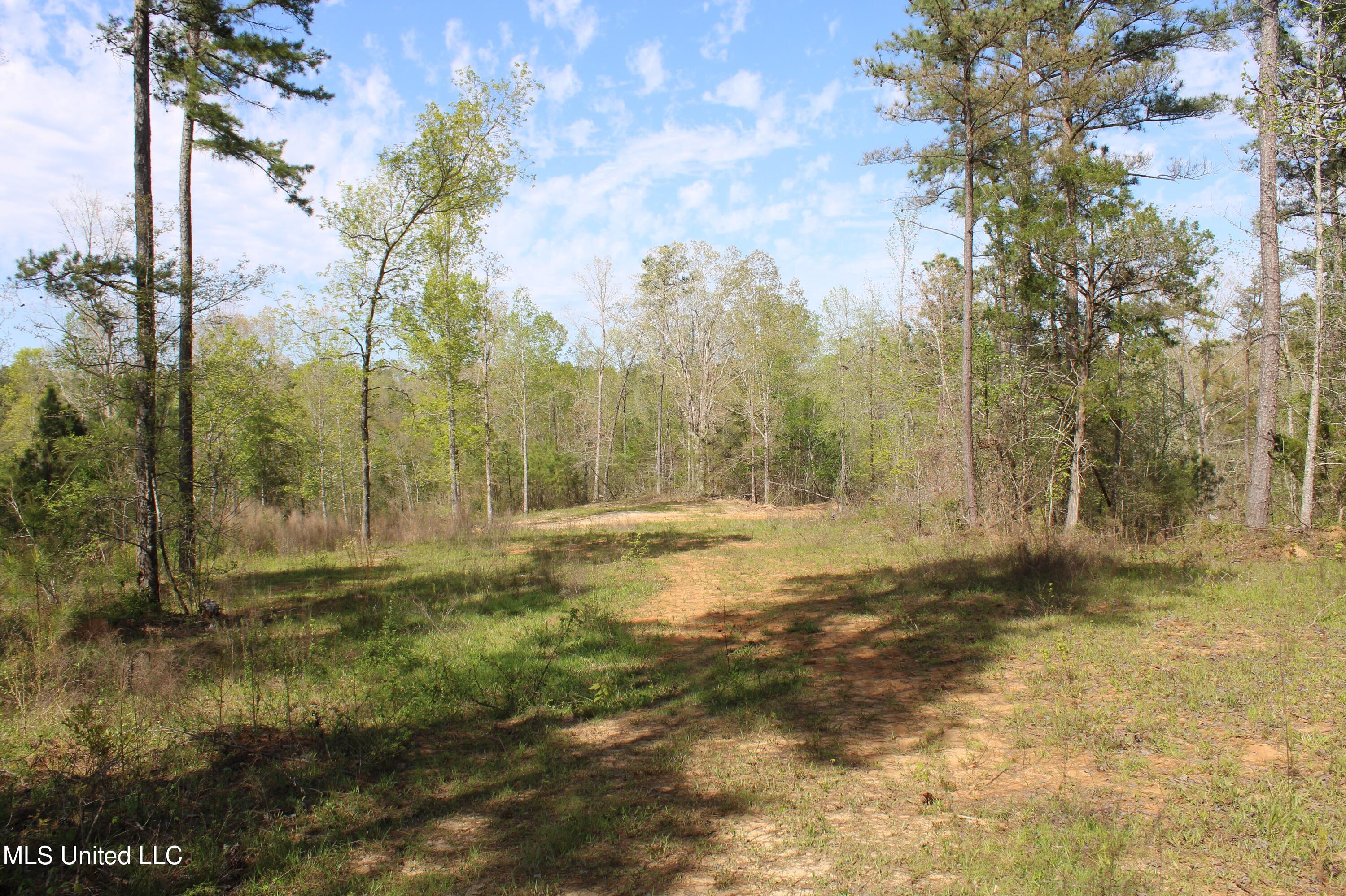 2300 Hamilton Road Falkner, MS 38629 - Photo 27 of 29 IMG_3725