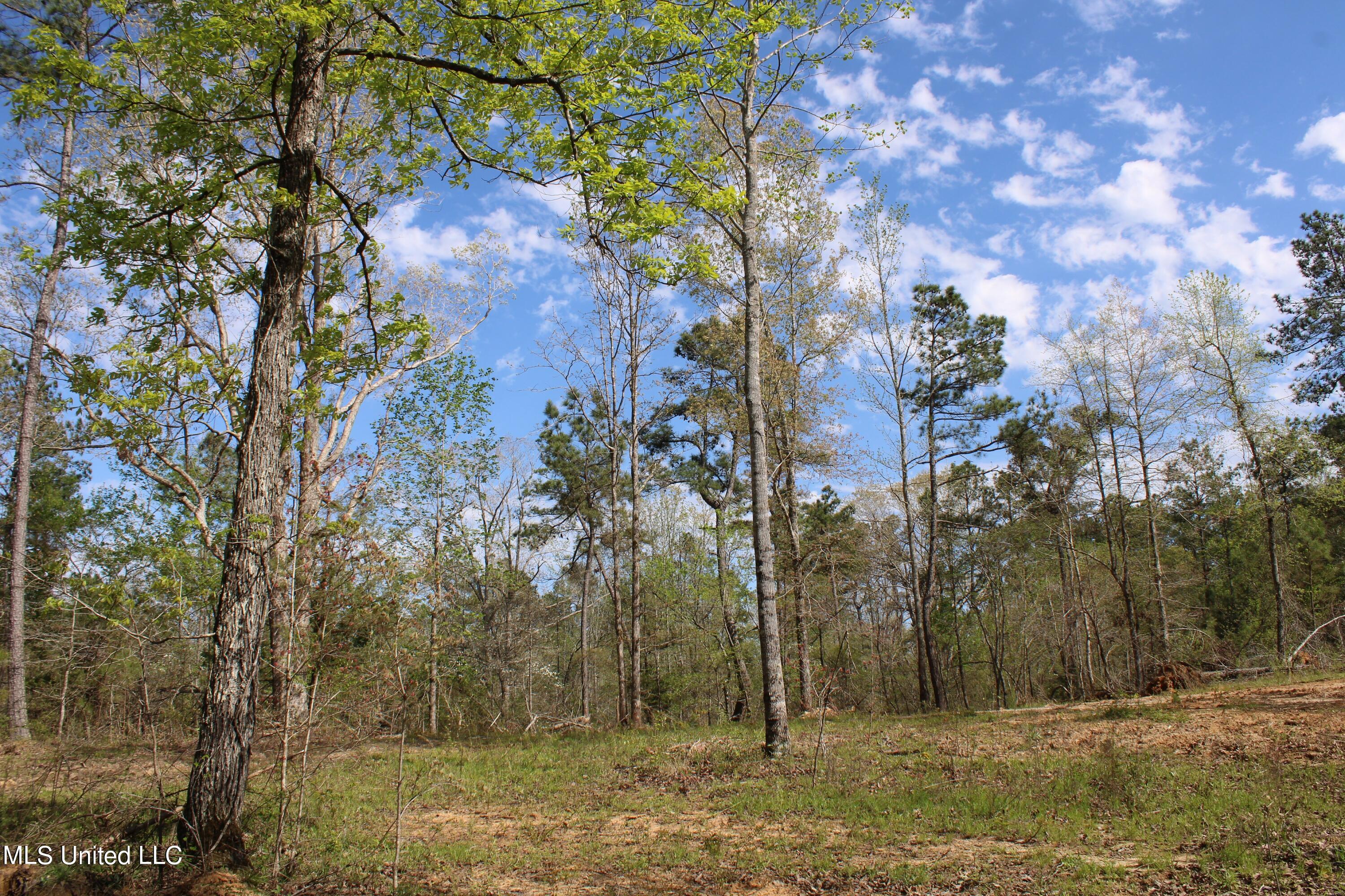 2300 Hamilton Road Falkner, MS 38629 - Photo 28 of 29 IMG_3728