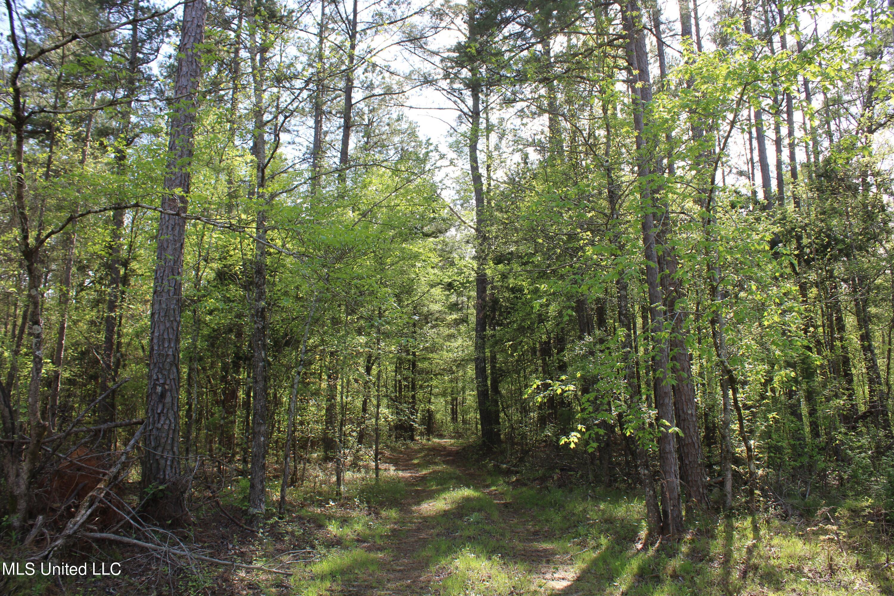 2300 Hamilton Road Falkner, MS 38629 - Photo 29 of 29 IMG_3729