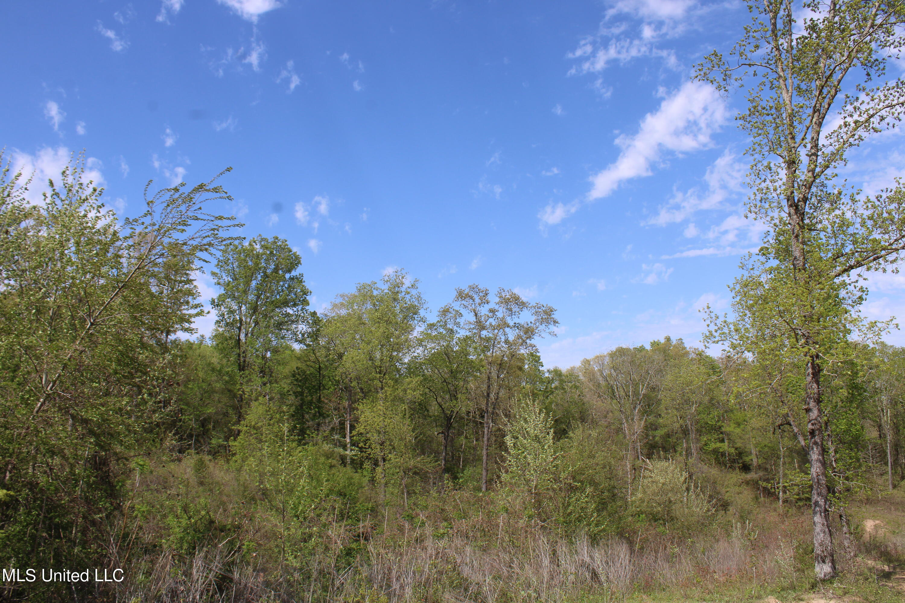2300 Hamilton Road Falkner, MS 38629 - Photo 3 of 29 IMG_3704