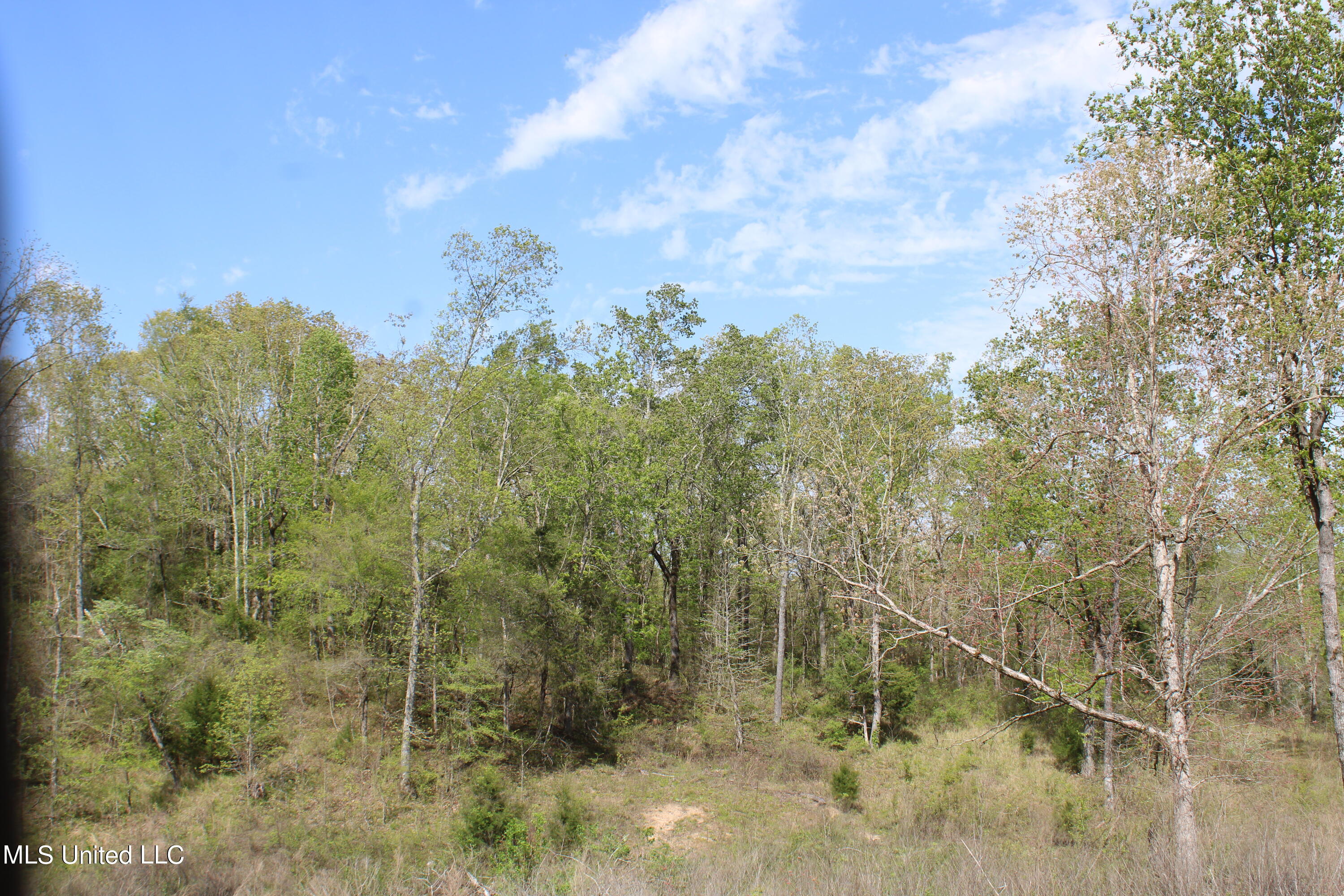2300 Hamilton Road Falkner, MS 38629 - Photo 5 of 29 IMG_3706