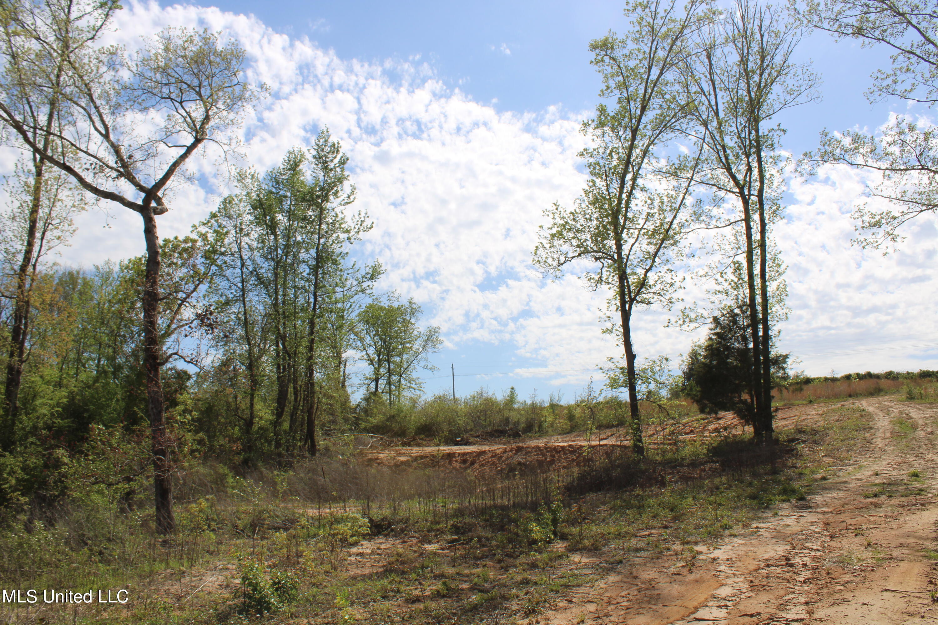 2300 Hamilton Road Falkner, MS 38629 - Photo 6 of 29 IMG_3707