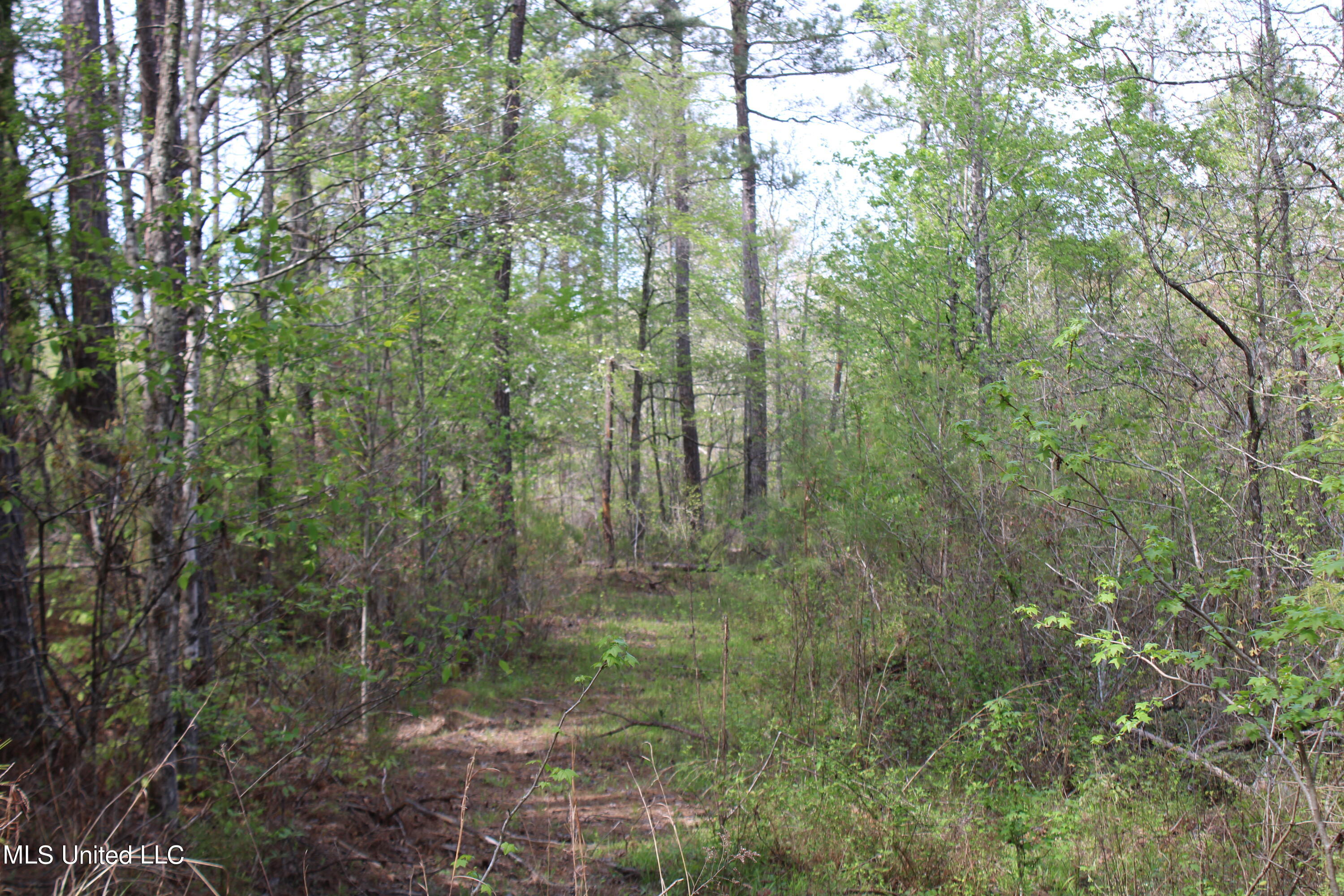 2300 Hamilton Road Falkner, MS 38629 - Photo 7 of 29 IMG_3714