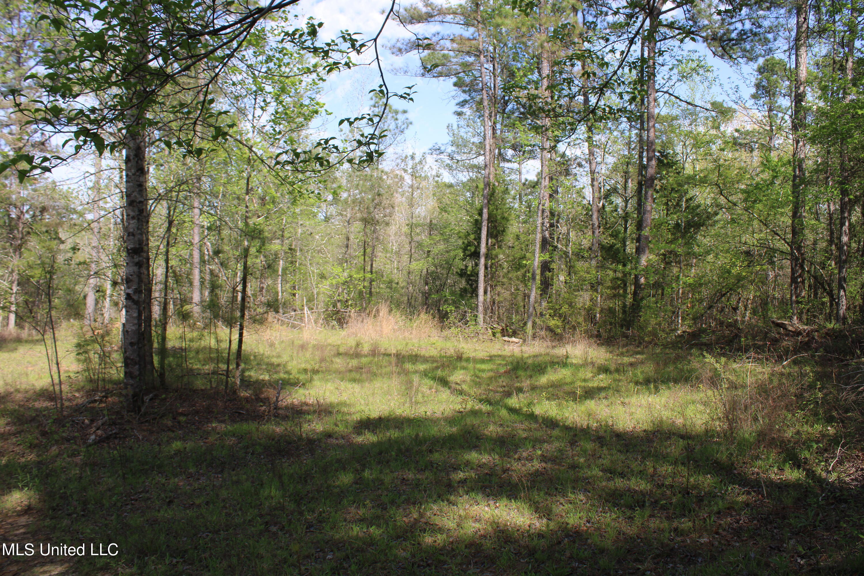 2300 Hamilton Road Falkner, MS 38629 - Photo 9 of 29 IMG_3724