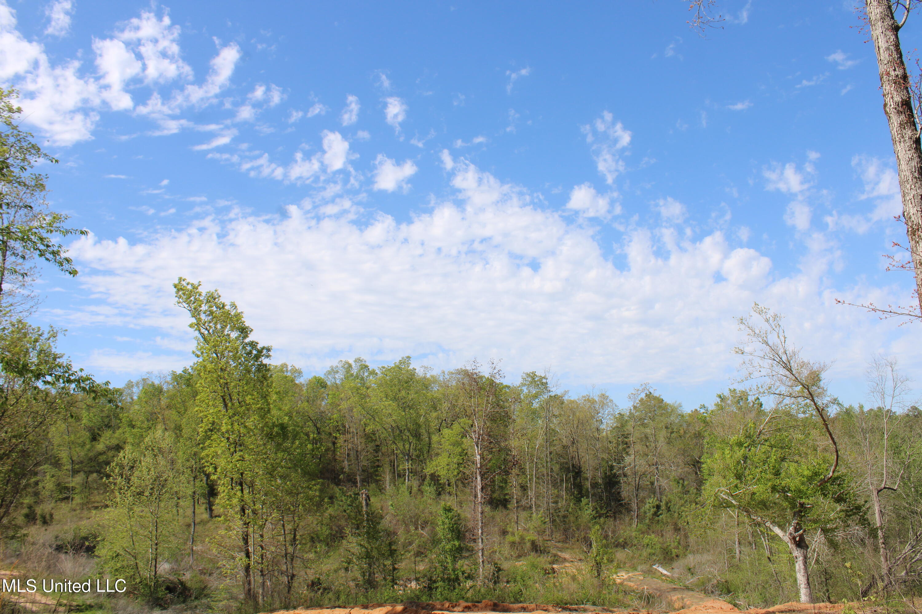 2300 Hamilton Road Falkner, MS 38629 - Photo 10 of 29 IMG_3730