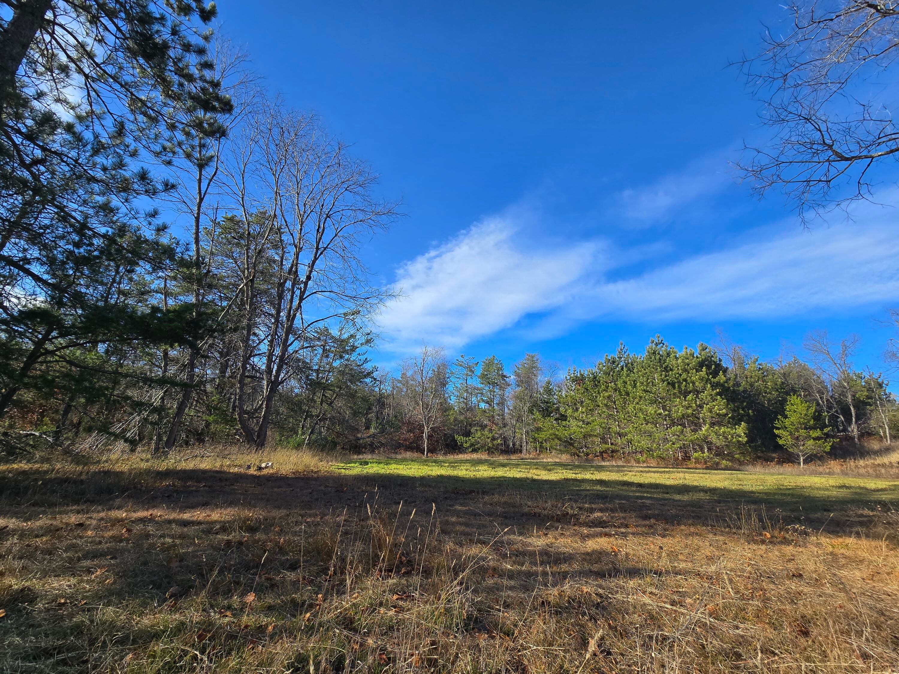 1151 Cedar Run Road Mio, MI 48647 - Photo 41 of 70 20251104_144116