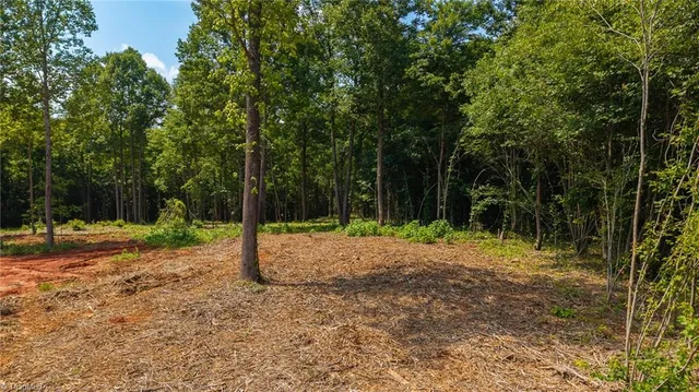 $289,900 | 1853 Hill River Road, Hiddenite, NC 28636