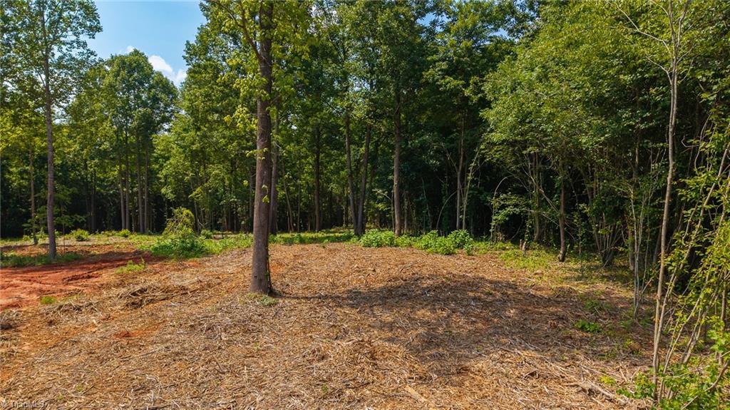 1853 Hill River Road Hiddenite, NC 28636 - Photo 25 of 44