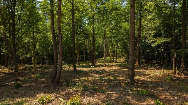 $289,900 | 1853 Hill River Road, Hiddenite, NC 28636