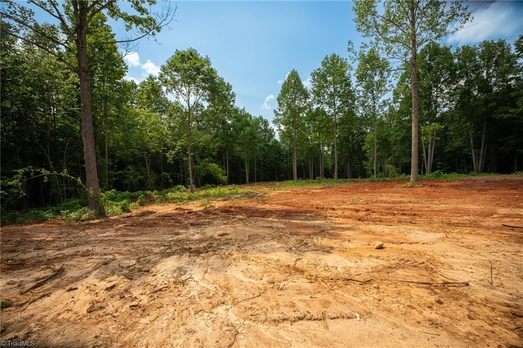 1853 Hill River Road Hiddenite, NC 28636 - Photo 10 of 44