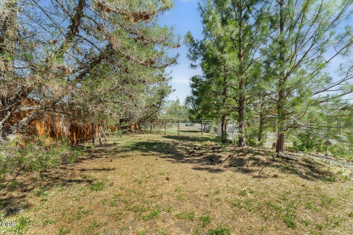 1712 Stevens Road Eagle Point, OR 97524 - Photo 43 of 63