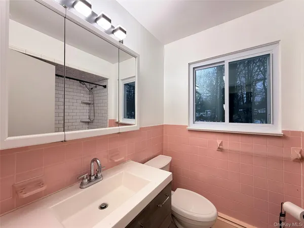 a bathroom with a sink a toilet and mirror