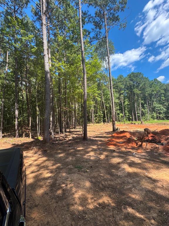 0 Oliver Road Haughton, LA 71037 - Photo 3 of 15 Gallery Image 3