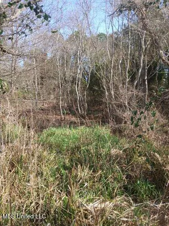 $139,900 | Lot 1 Swetman Beach Drive, Gautier, MS 39553