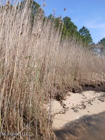 $139,900 | Lot 1 Swetman Beach Drive, Gautier, MS 39553