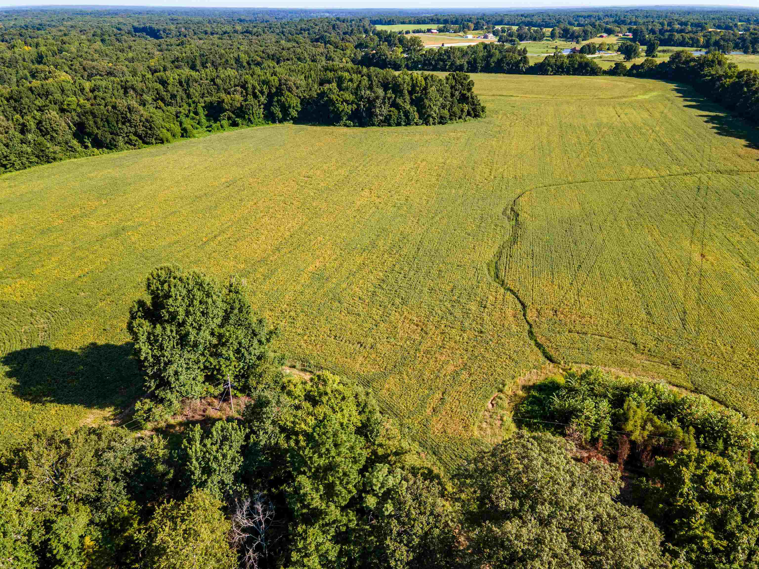 Mt Moriah Road Somerville, TN 38068 - Photo 11 of 19 Gallery Image 11