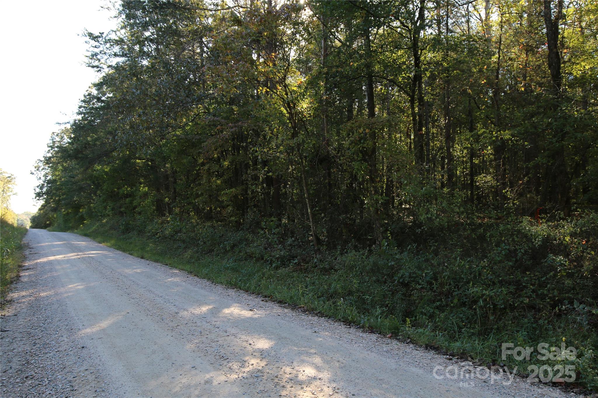 0 Tobas Road Rockwell, NC 28138 - Photo 2 of 4 a view of a street with a trees