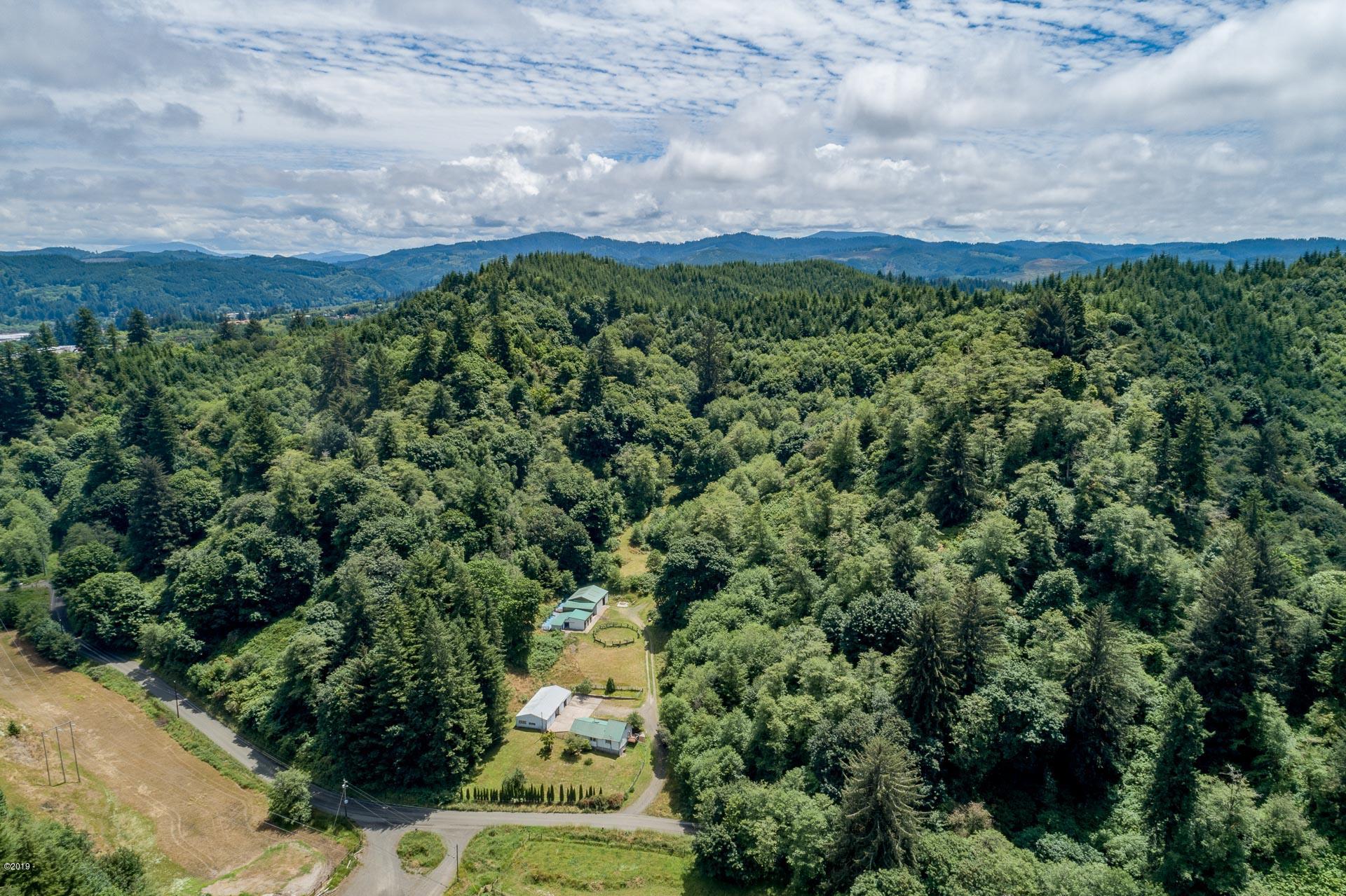 429 Hidden Valley Road Toledo, OR 97391 - Photo 5 of 41 DRONE VIEW OF TREES ON PROPERTY