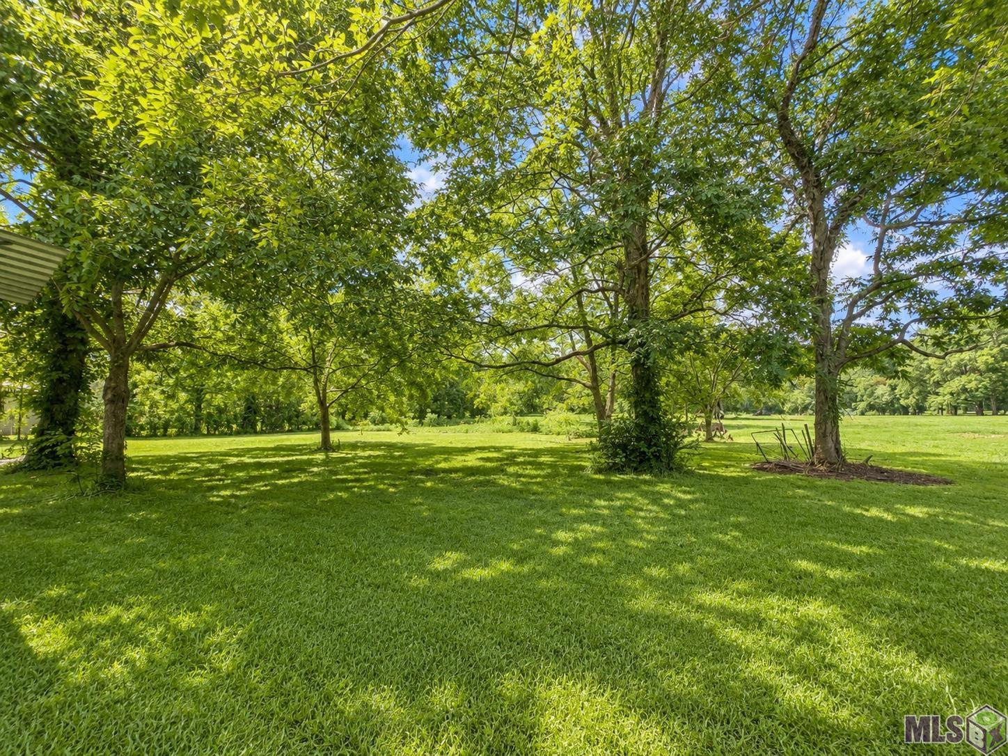 9958 Island Road Ventress, LA 70783 - Photo 5 of 22