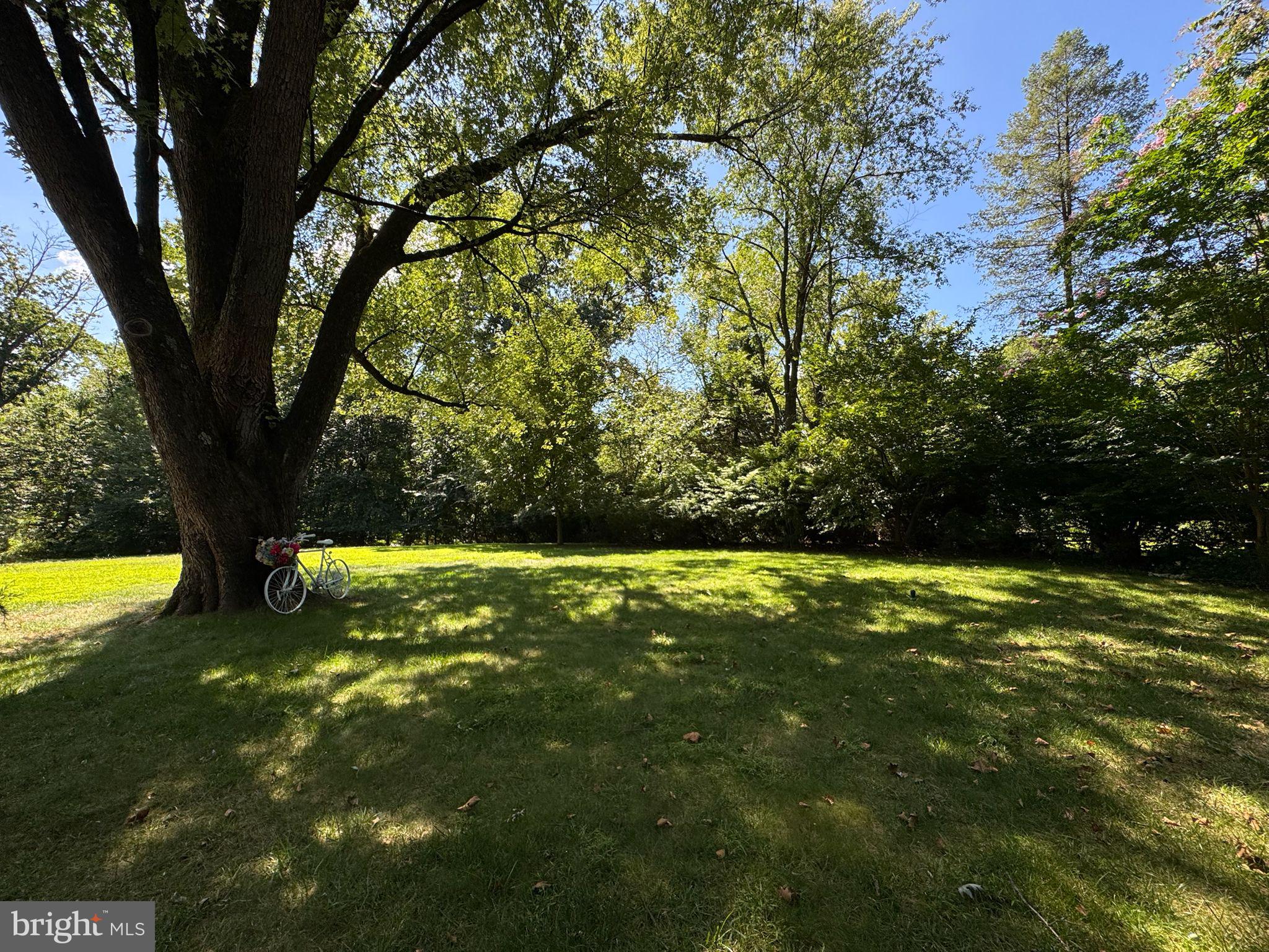 417 Wingate Road Huntingdon Valley, PA 19006 - Photo 24 of 25 Private Yard for Tenant