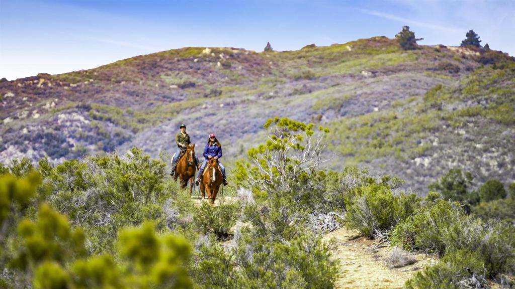 55012 Roadrunner Way Anza, CA 92539 - Photo 12 of 53