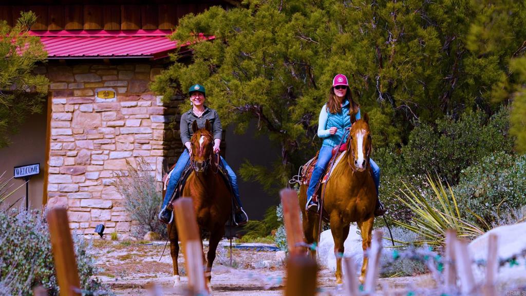 55012 Roadrunner Way Anza, CA 92539 - Photo 27 of 53