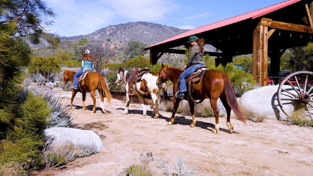55012 Roadrunner Way Anza, CA 92539 - Photo 30 of 53