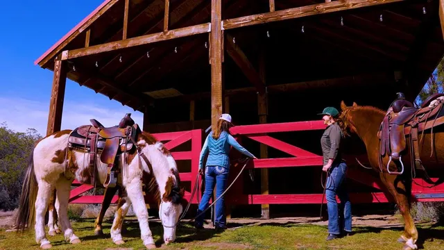 $3,333,000 | 55012 Roadrunner Way, Anza, CA 92539