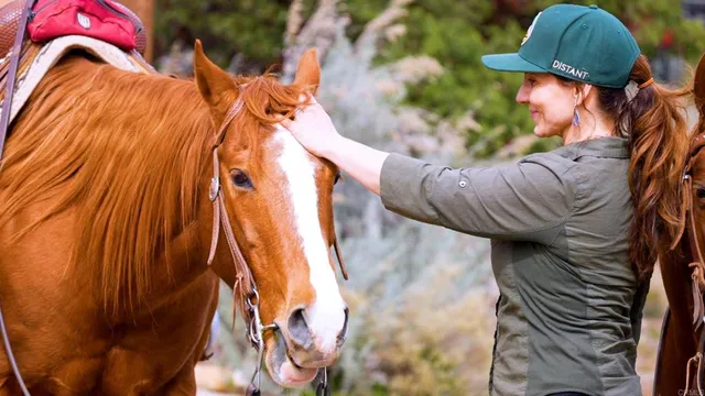 $3,333,000 | 55012 Roadrunner Way, Anza, CA 92539