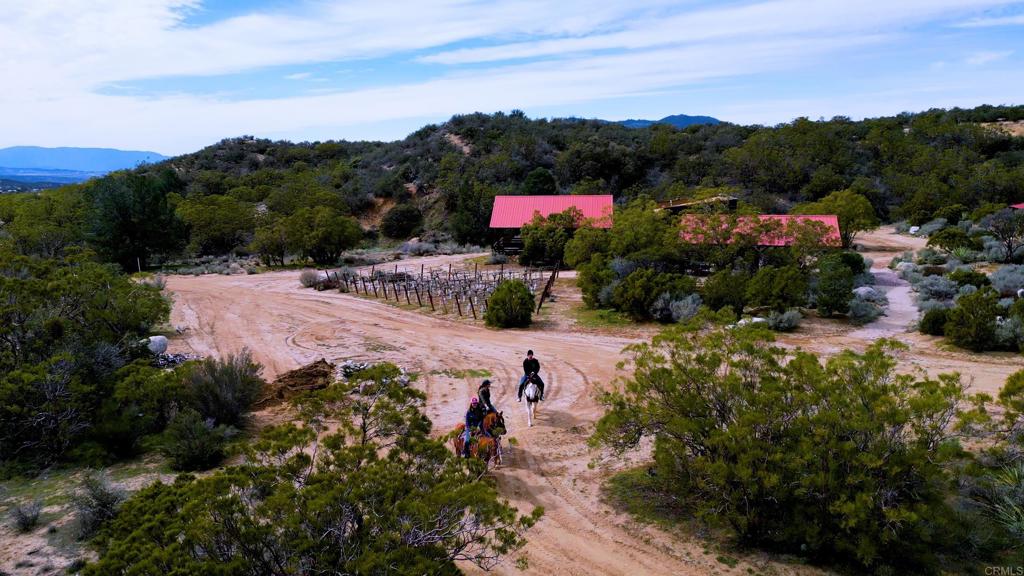 55012 Roadrunner Way Anza, CA 92539 - Photo 38 of 53