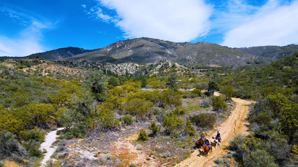 55012 Roadrunner Way Anza, CA 92539 - Photo 43 of 53