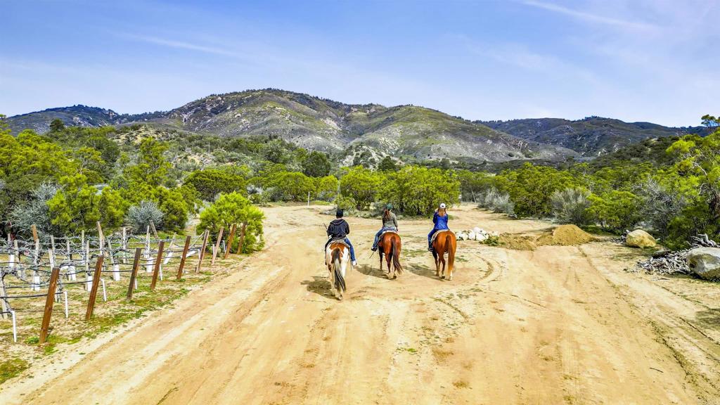 55012 Roadrunner Way Anza, CA 92539 - Photo 7 of 53