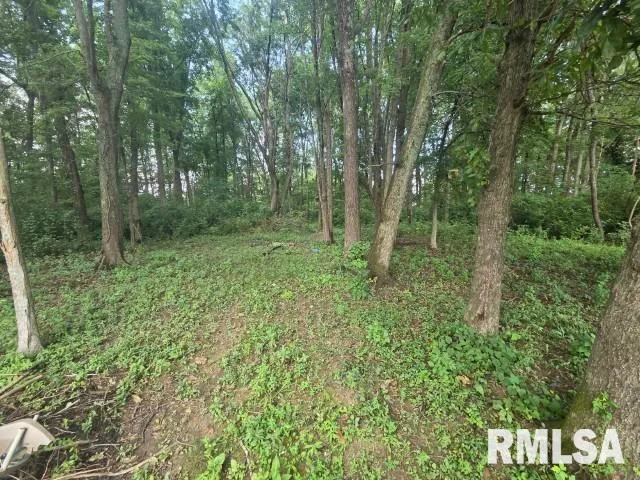 $13,000 | 0 East North Avenue, Bluford, IL 62814