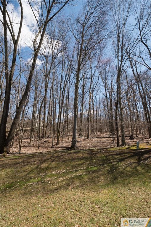 2403 Timber Oaks Road Edison, NJ 08820 - Photo 24 of 25