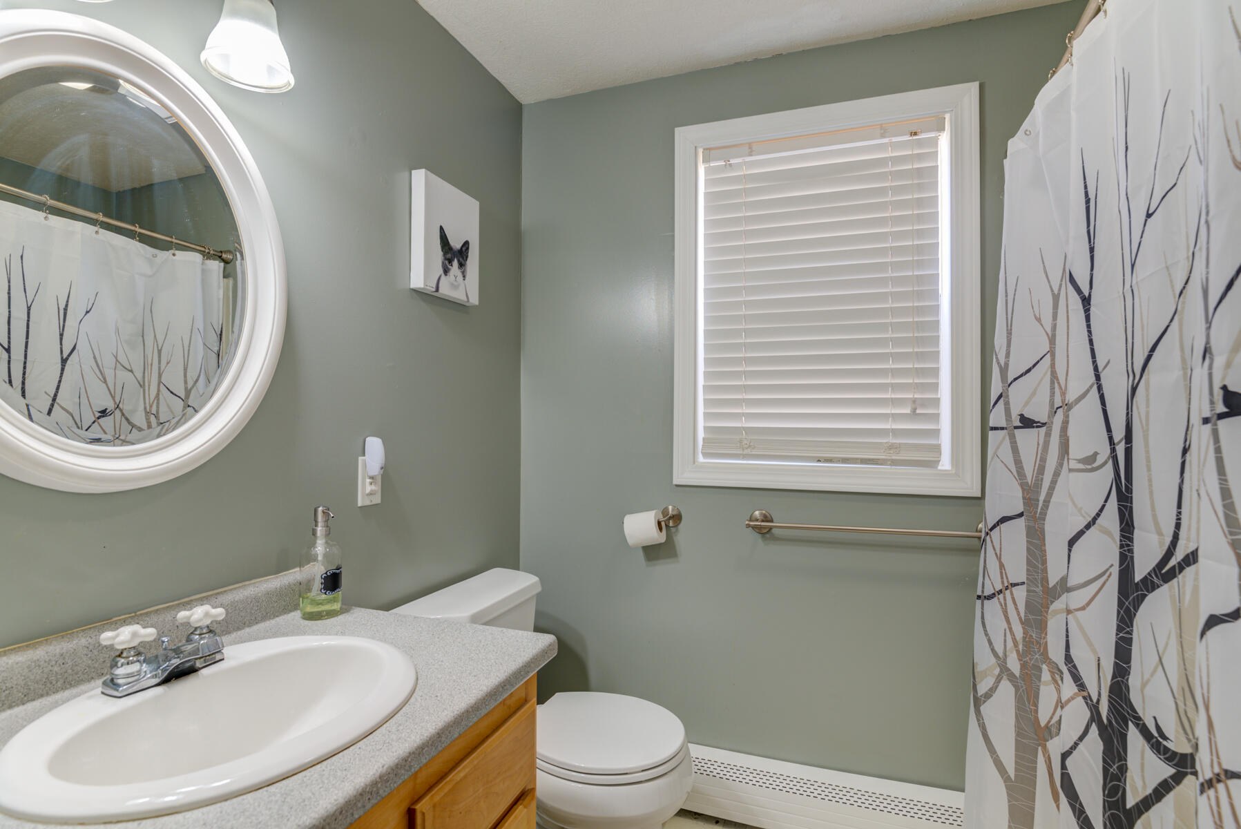 552 New Dam Road Waterboro, ME 04061 - Photo 12 of 33 Pic#-14