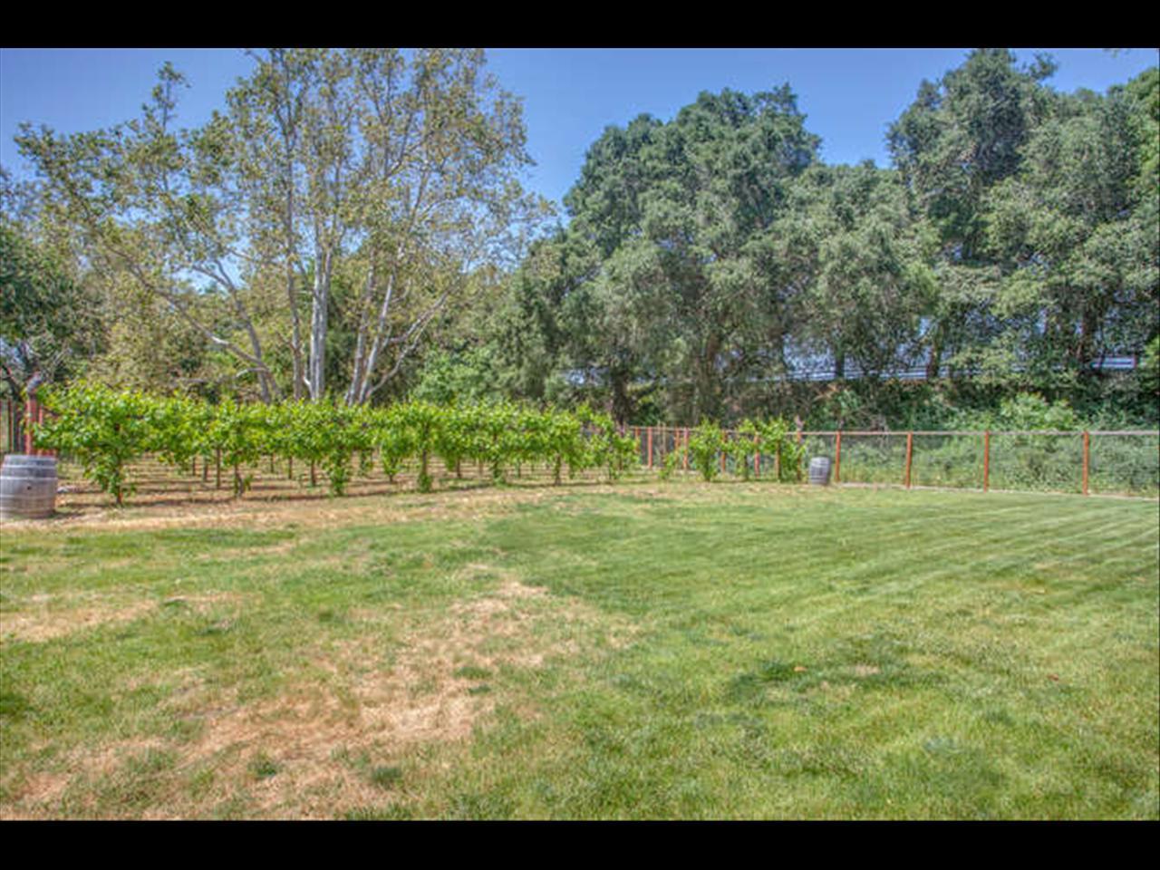 8555 Burchell Road Gilroy, CA 95020 - Photo 20 of 25