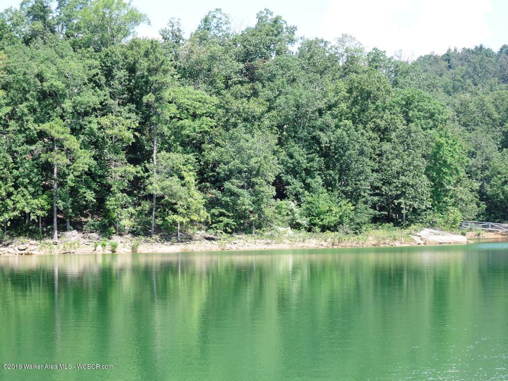 891 County Road Arley, AL 35541 - Photo 1 of 8 Gallery Image 1