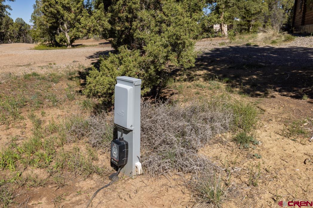 553 Cow Canyon Road Ignacio, CO 81137 - Photo 33 of 34 a view of a yard with trees