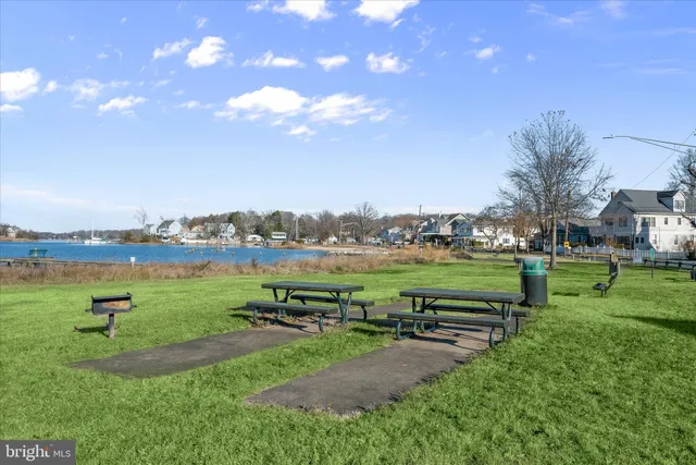 a view of a garden with lawn chairs