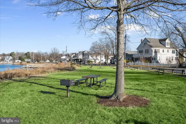 a view of a park with large trees