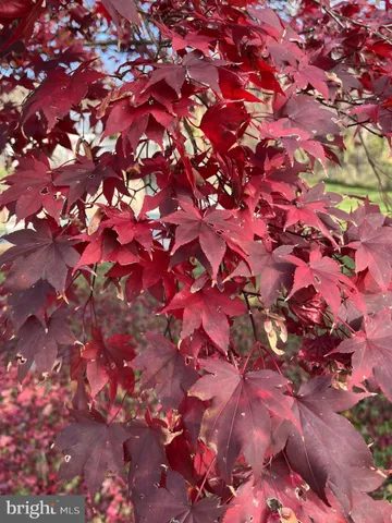 $299,900 | 11416 Kline Drive Northwest, Cumberland, MD 21502