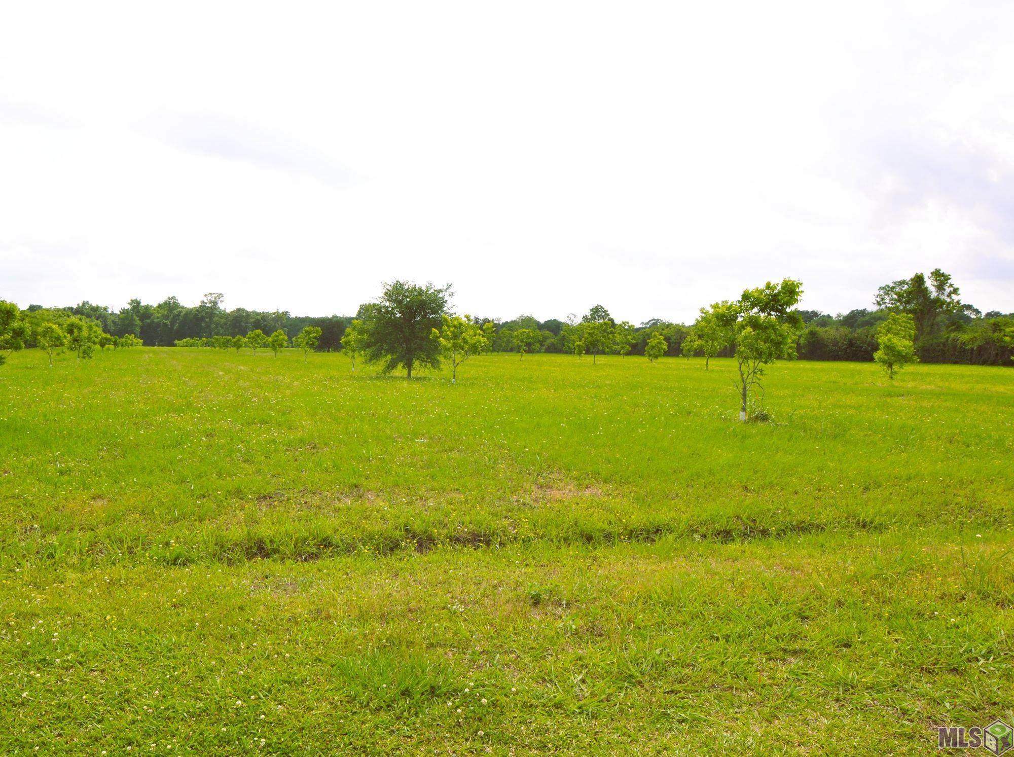 Tbd Tbd Valverda Road Maringouin, LA 70757 - Photo 1 of 13 Gallery Image 1