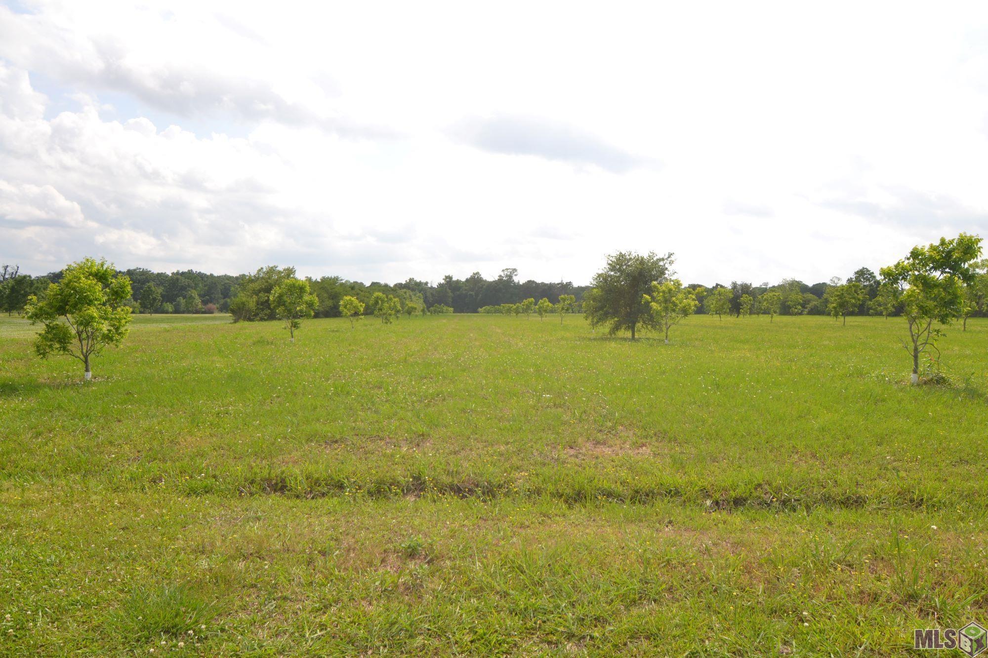 Tbd Tbd Valverda Road Maringouin, LA 70757 - Photo 2 of 13 Gallery Image 2