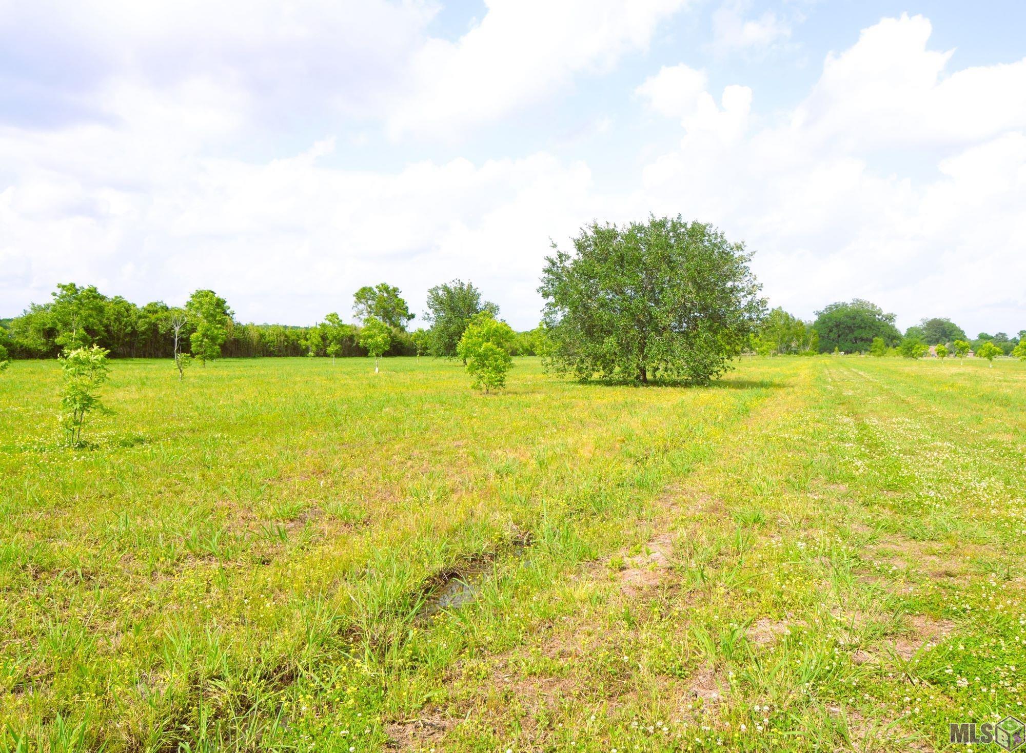 Tbd Tbd Valverda Road Maringouin, LA 70757 - Photo 3 of 13 Gallery Image 3