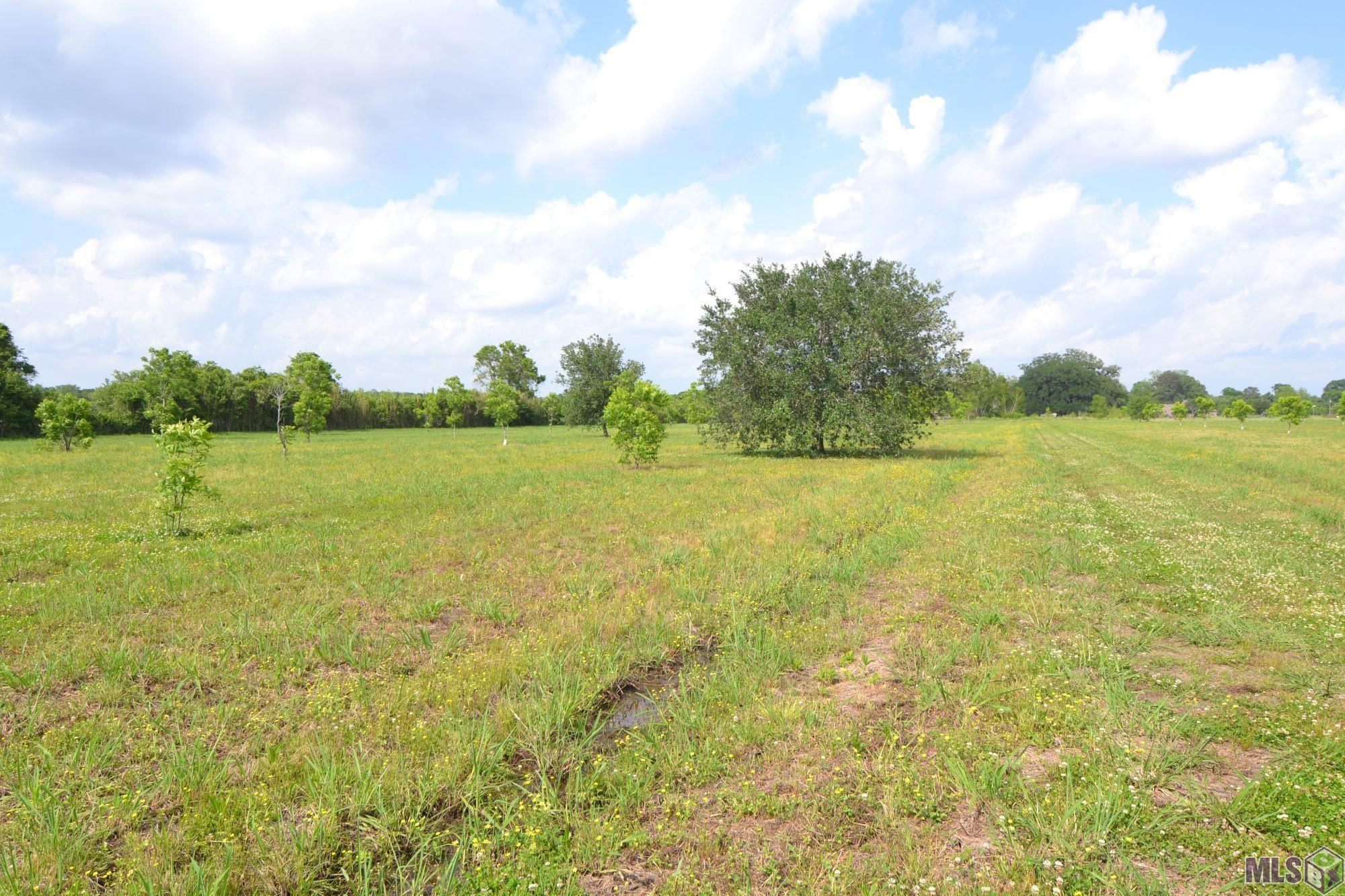 Tbd Tbd Valverda Road Maringouin, LA 70757 - Photo 4 of 13 Gallery Image 4