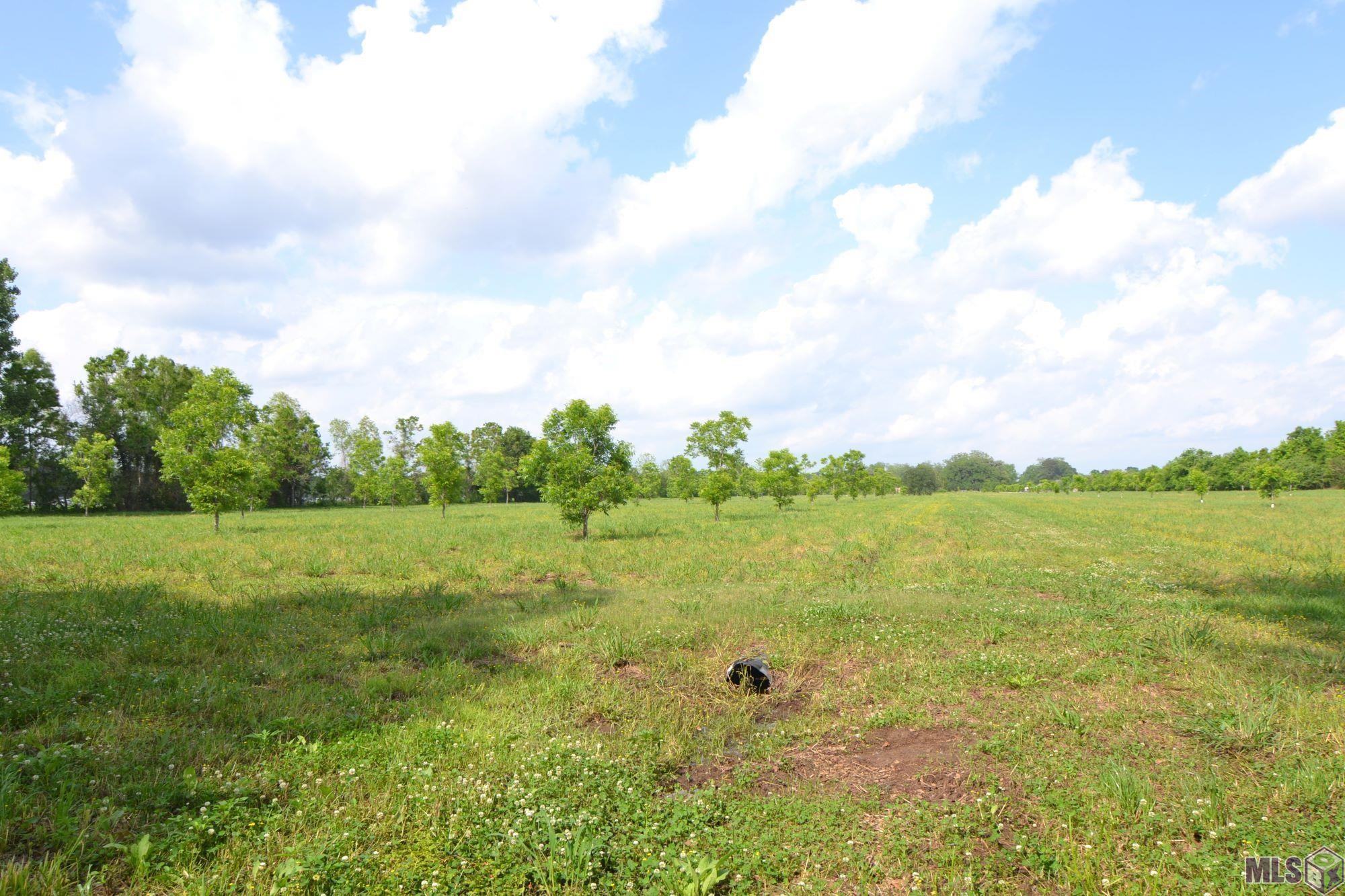 Tbd Tbd Valverda Road Maringouin, LA 70757 - Photo 6 of 13 Gallery Image 6