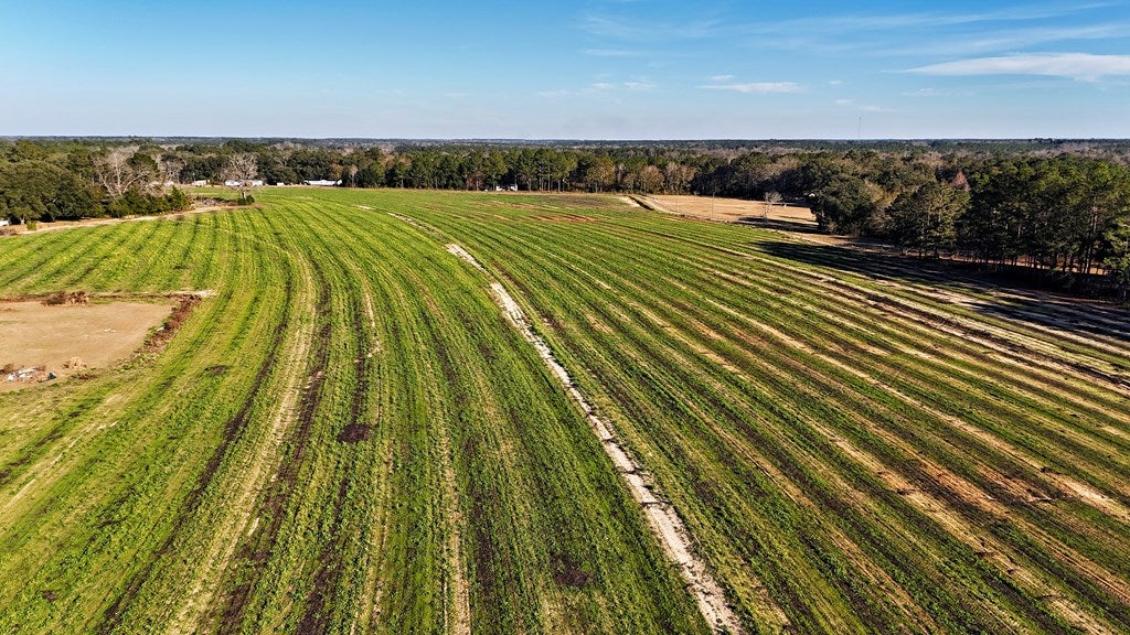 0 Tired Creek Road Whigham, GA 39897 - Photo 5 of 15 Gallery Image 5