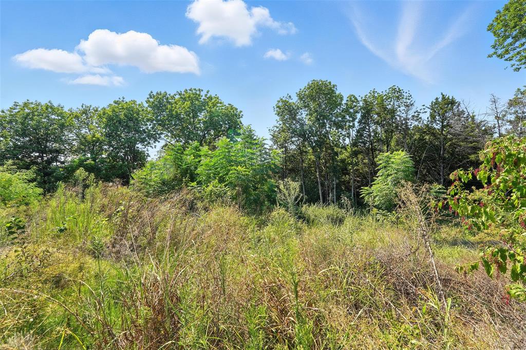 3001 Simpson Stuart Road Dallas, TX 75241 - Photo 19 of 23 a view of a bunch of trees in background